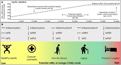 The Influence of Omega-3 Fatty Acids on Skeletal Muscle Protein Turnover in Health, Disuse, and Disease